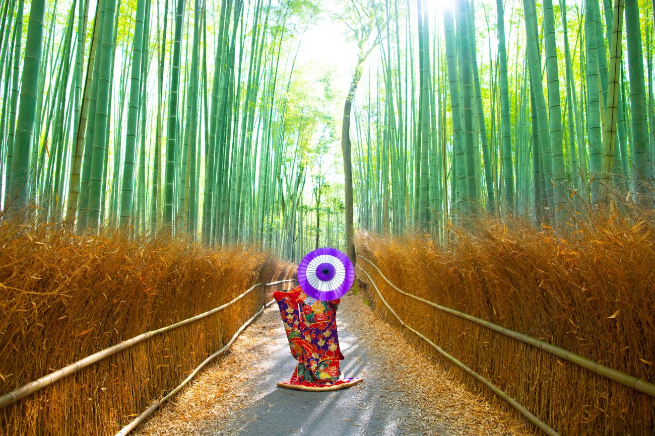 Arashiyama walking tour in Kyoto